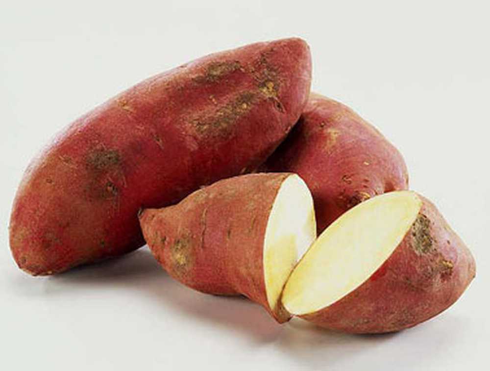 Батат или картофель. Картофель батат. Батат плод. Sweet Potato батат. Колумбийский батат.